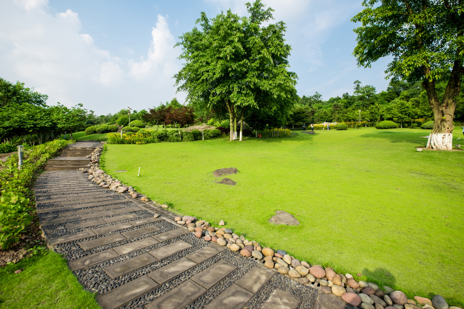 Grassland landscape and greening environment park background<br />